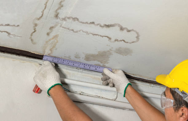 Reliable Flood Cleanup contractor in New London, MN by Water Damage Irwin